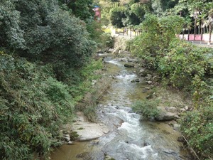 s_DSC06633