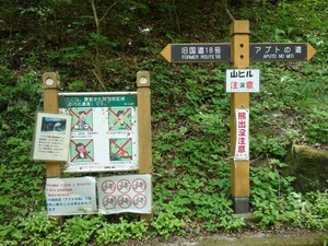 s_DSC02865