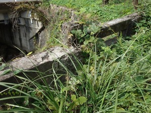 s_DSC06624