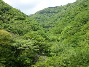 s_DSC02880