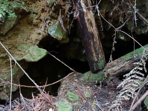 s_DSC07426