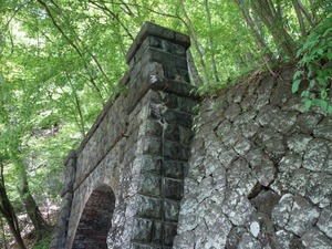 s_DSC02890