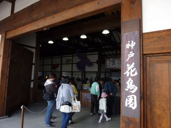 神戸花鳥園 はみ男の日記 仮