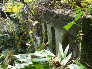 s_DSC06627
