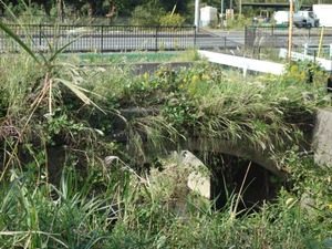 s_DSC06203