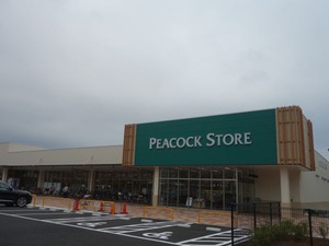 s_DSC04486