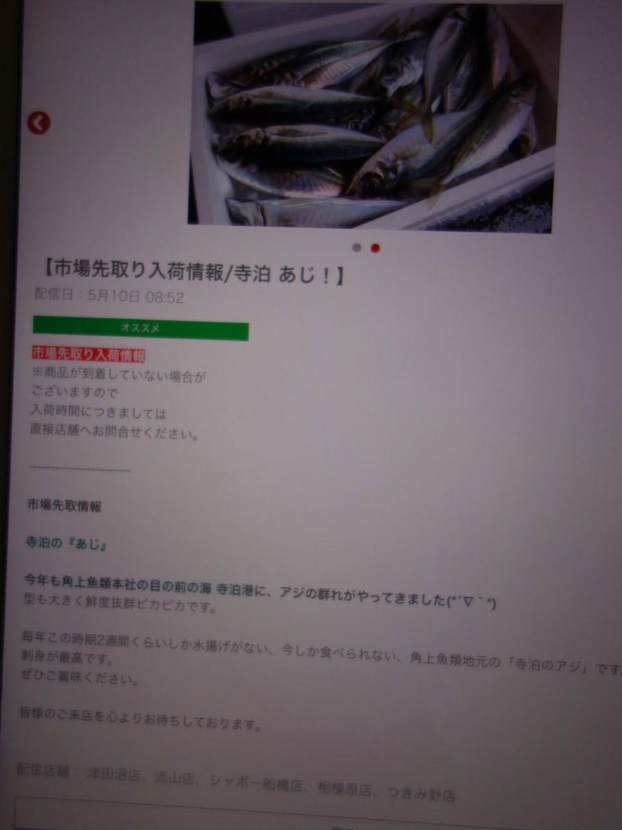 寺泊あじ はみ男の日記 仮 寺泊あじ はみ男の日記 仮