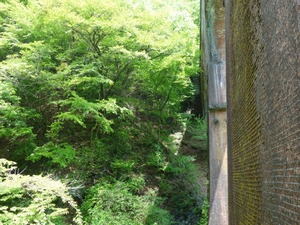 s_DSC02862