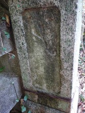 s_DSC06626
