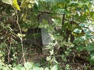 s_DSC06625
