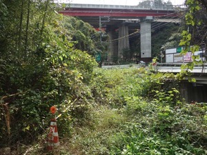 s_DSC06629