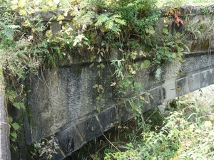 s_DSC06617