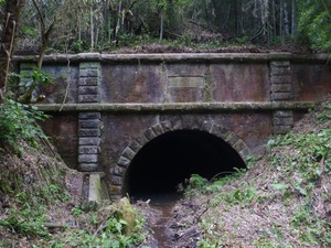 s_P1390209