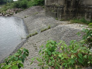 s_DSC00453
