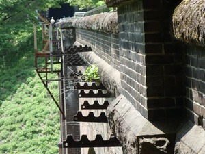 s_DSC02885