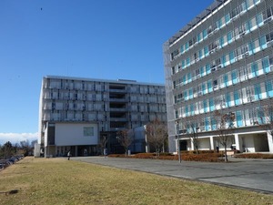 s_DSC07314