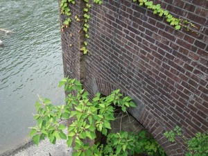 s_DSC00437