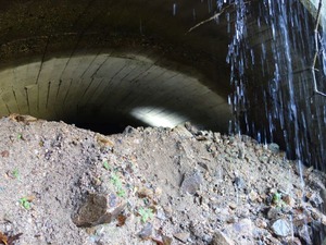 s_DSC06324