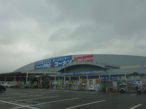 s_DSC03414