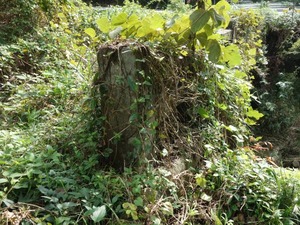 s_DSC06628