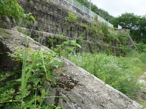 s_DSC00456