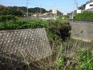 s_DSC06198