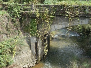 s_DSC06636