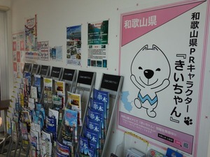 s_DSC07533