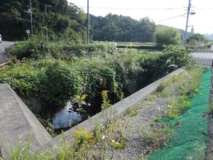 s_DSC06193
