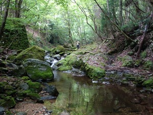 s_DSC08729