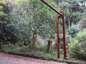 s_DSC02157
