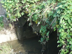 s_DSC06197