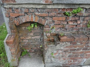 s_DSC00431