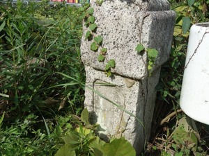 s_DSC06619
