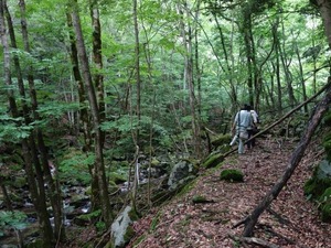 s_DSC08508