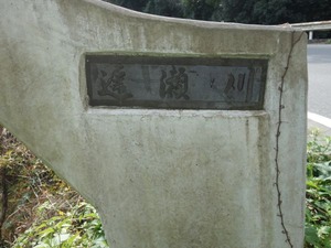 s_DSC06631