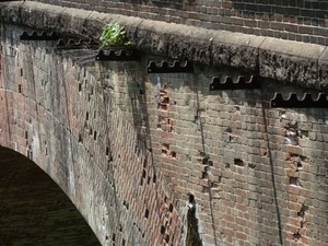 s_DSC02887