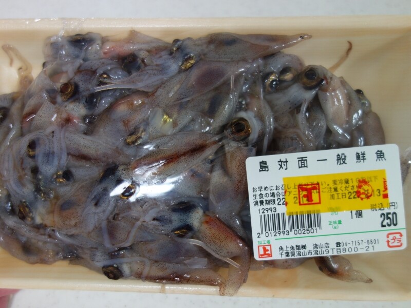 ホタルイカ 角上魚類 はみ男の日記 仮