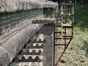 s_DSC02874