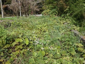 s_DSC06621