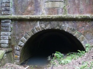 s_P1390211