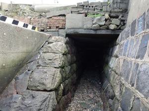 s_DSC03595