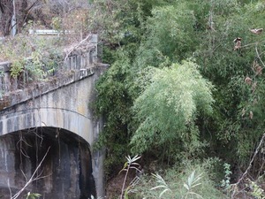 s_DSC07069