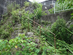 s_DSC00457