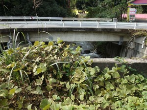 s_DSC06623