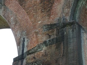 s_DSC02863