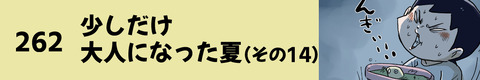 262少しだけ大人になった夏（その14）