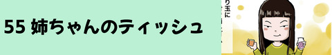 55姉ちゃんのティッシュ