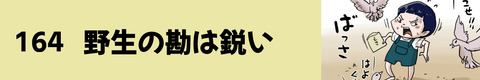 164野生の勘は鋭い
