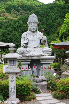 pakjuGRP_0145